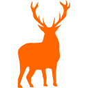 On-Site Deer Survey